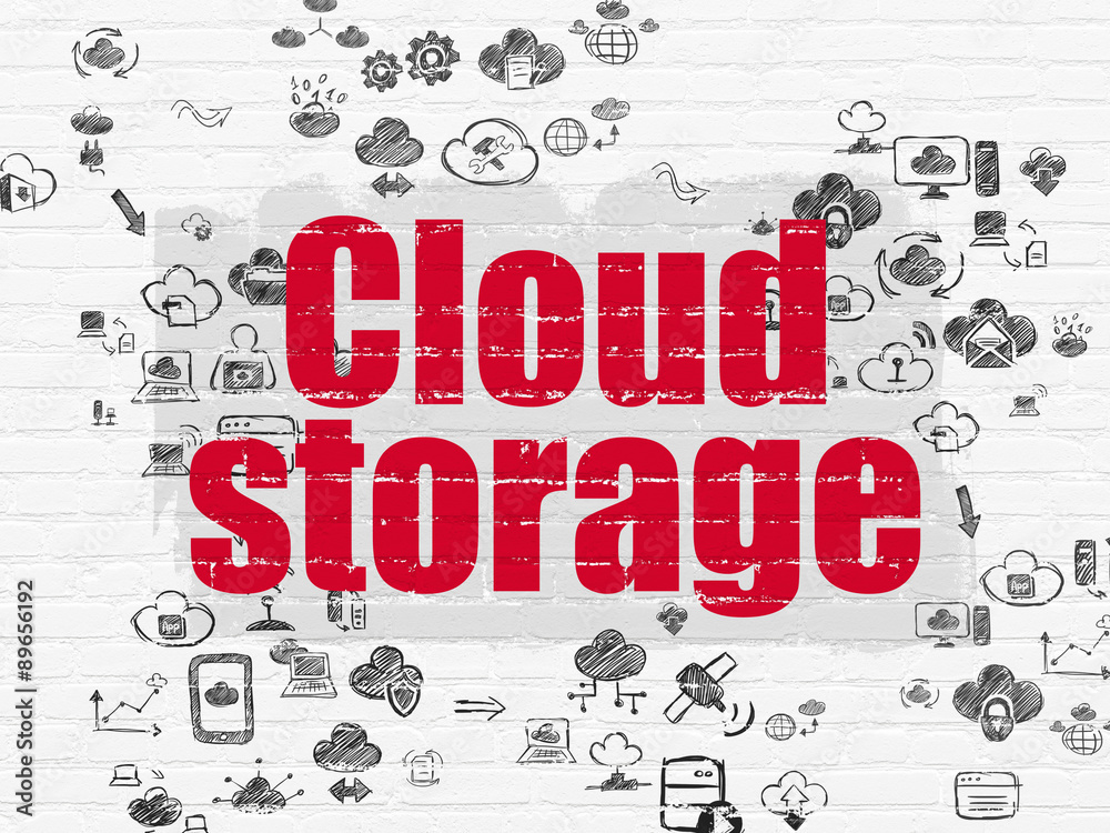 Fototapeta premium Cloud networking concept: Cloud Storage on wall background