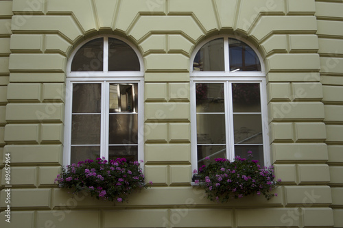 beautiful windows with flowers in Lviv
