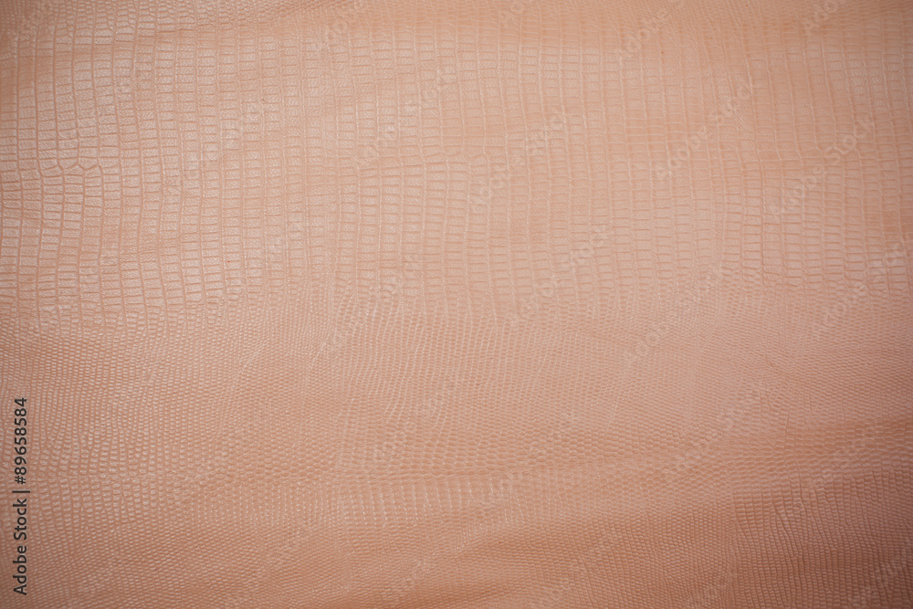 Fototapeta premium Snake skin, reptile