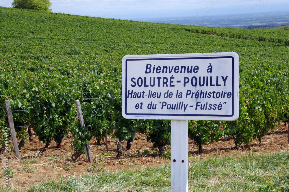 Obraz premium solutré-pouilly