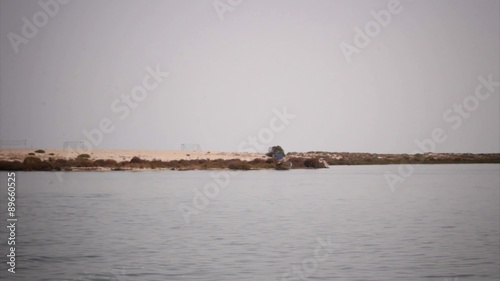 Ria Formosa wetlands natural park seascape, view from ferry boat. Algarve