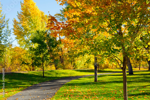 Early autumn in the park