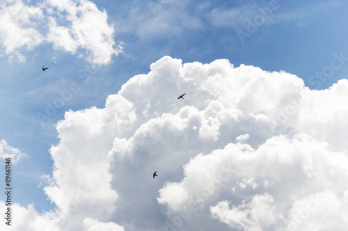 Fototapeta Naklejka Na Ścianę i Meble -  Blue Sky and Puffy Clouds
