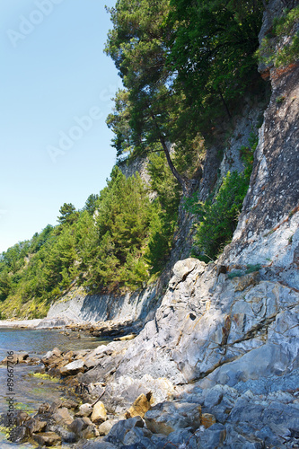 Beautiful rocky beach with pine trees on the rocks