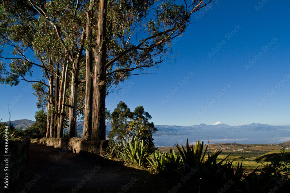 Beautiful dry landscape of the andean highlands in Ecuador Beautiful dry landscape of the andean highlands in Ecuador