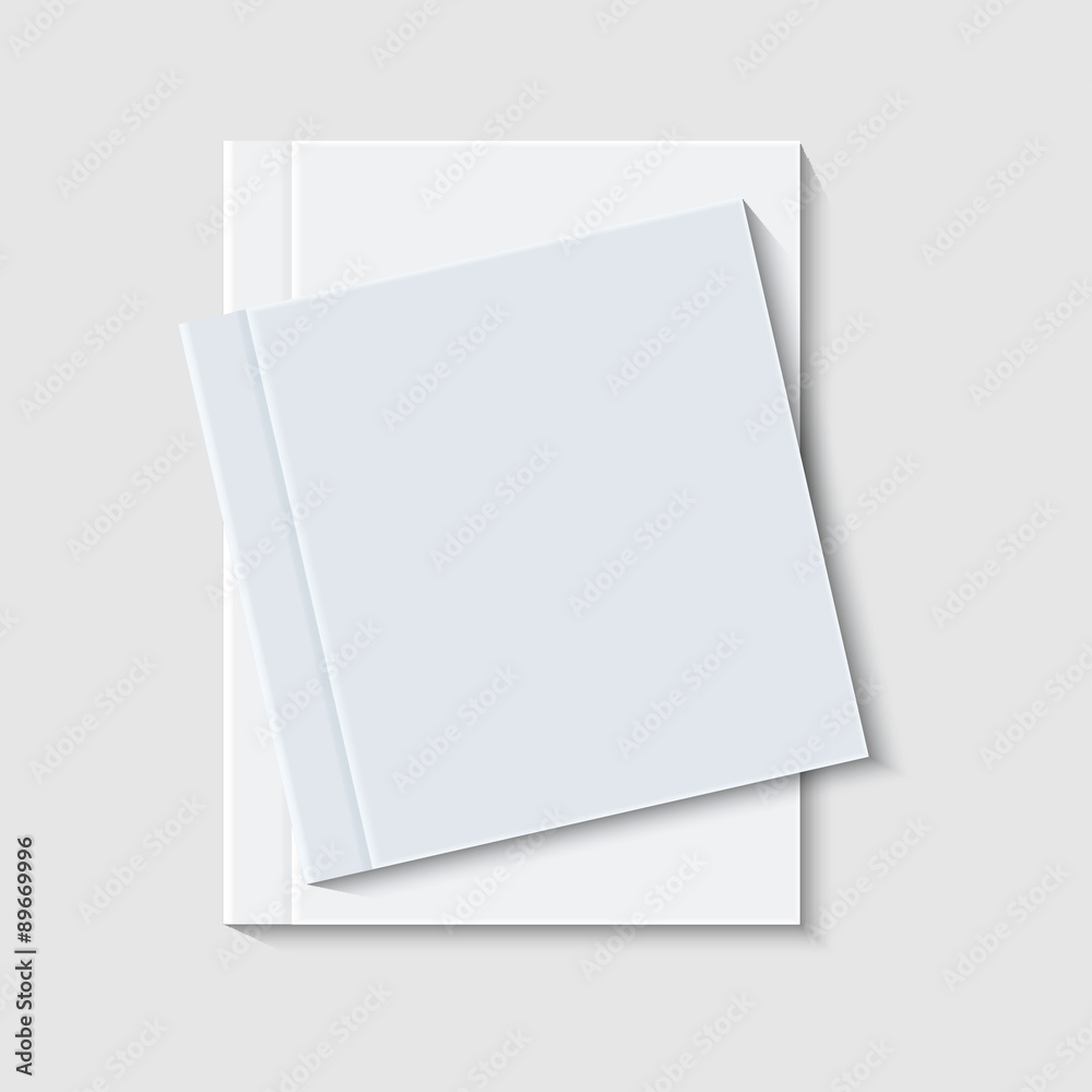 vector modern books or brochure on white