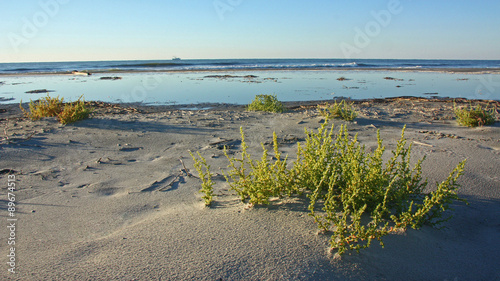 Deserted ocean beach in early morning photo