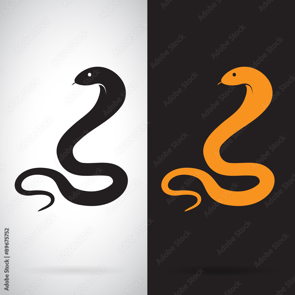 Naklejka premium Vector image of an snake on white background and black backgroun