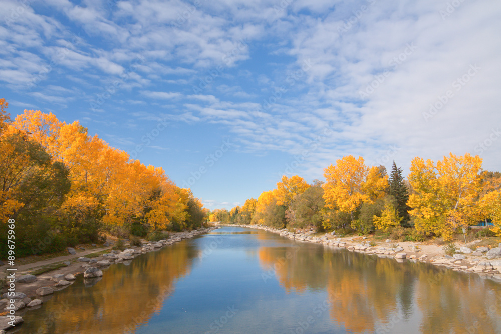 Landscape of autumn trees around Prince's Island lagoon. 