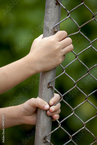 Girl hands holding wire fence 