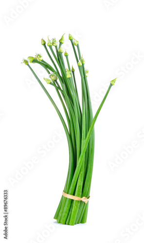 Onion flower on white background