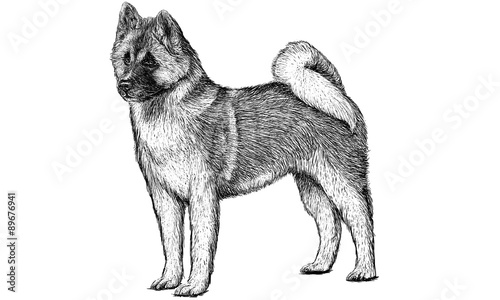 Dog draw monochrome vector illustration.