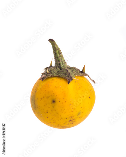 Yellow berried nightshade isolated on white.
