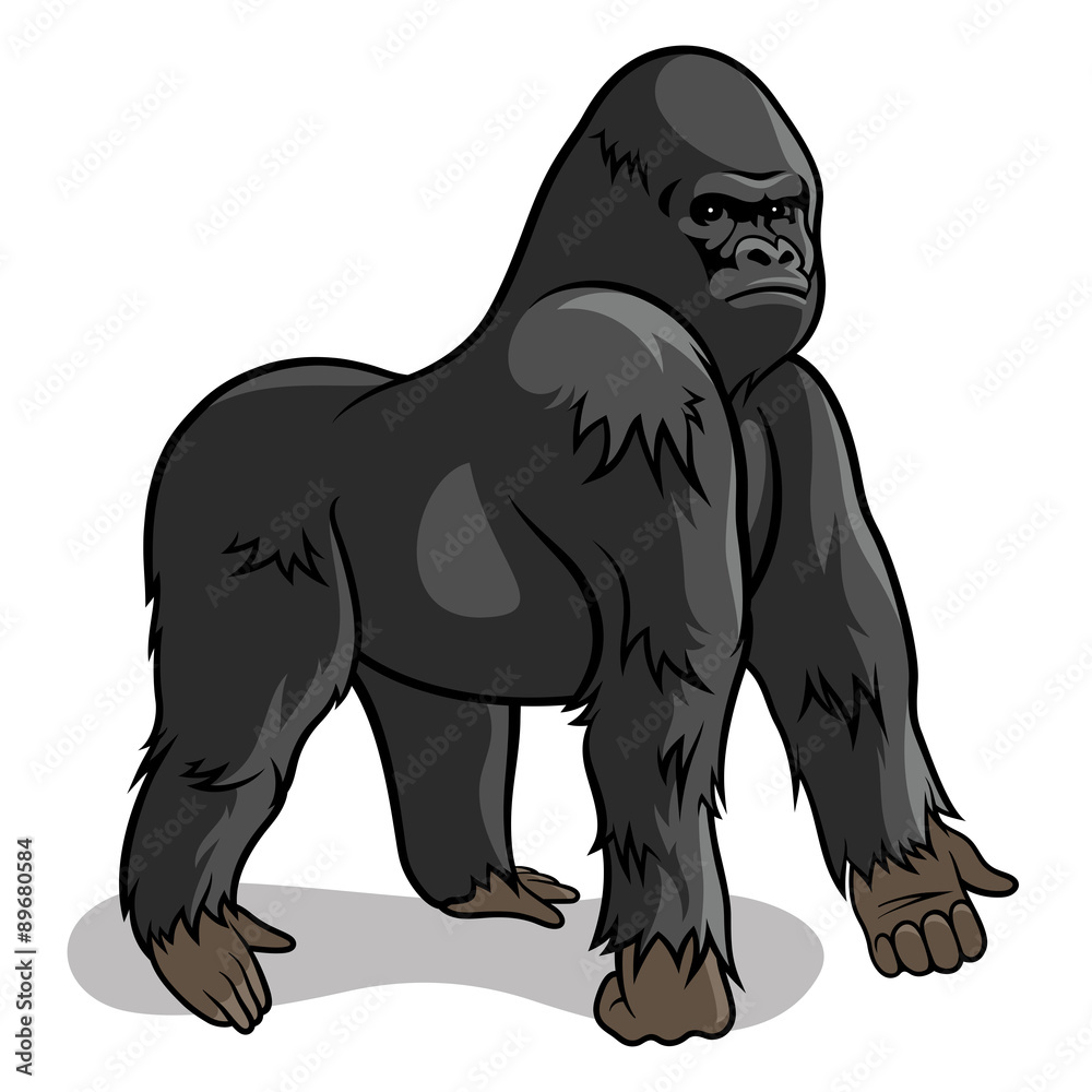Gorilla 001