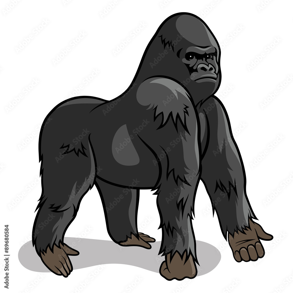 Gorilla 001 Gorilla 001