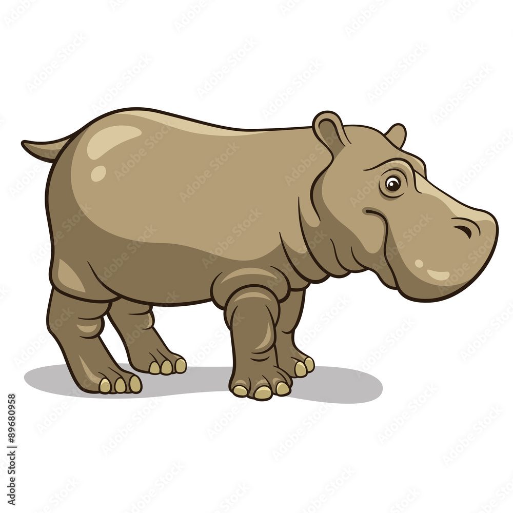 Fototapeta premium Hippopotamus 001