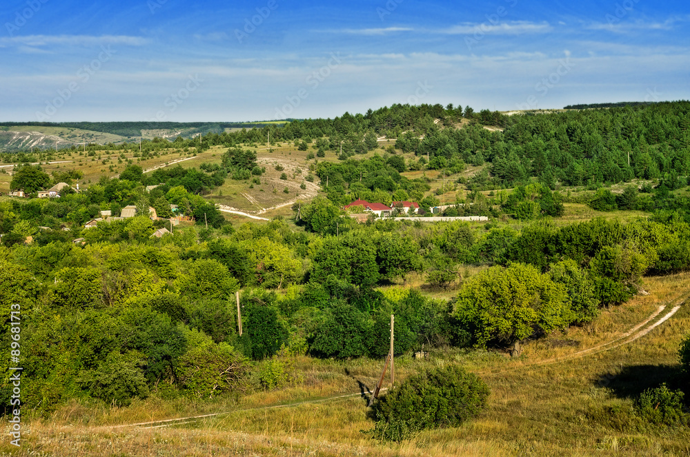 Naklejka premium Chalky flora reservation