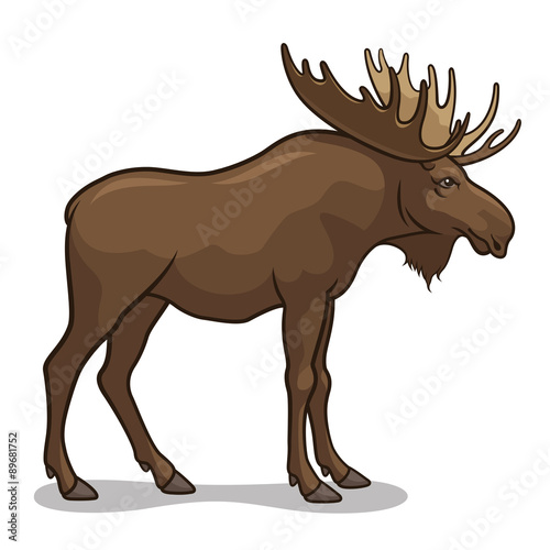 Moose 001