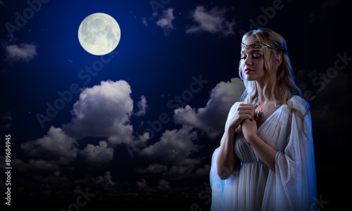 Obraz na plátně Elf girl on night sky background