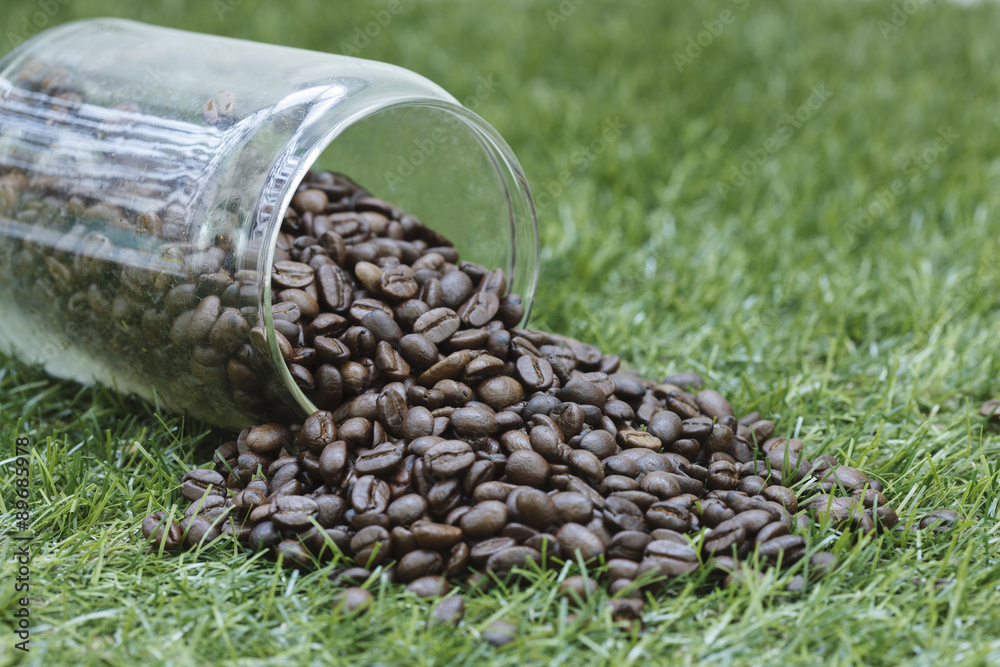 Obraz premium Bottle of coffee bean