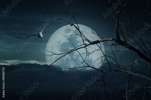 Spooky forest with full moon, dead trees, Halloween background