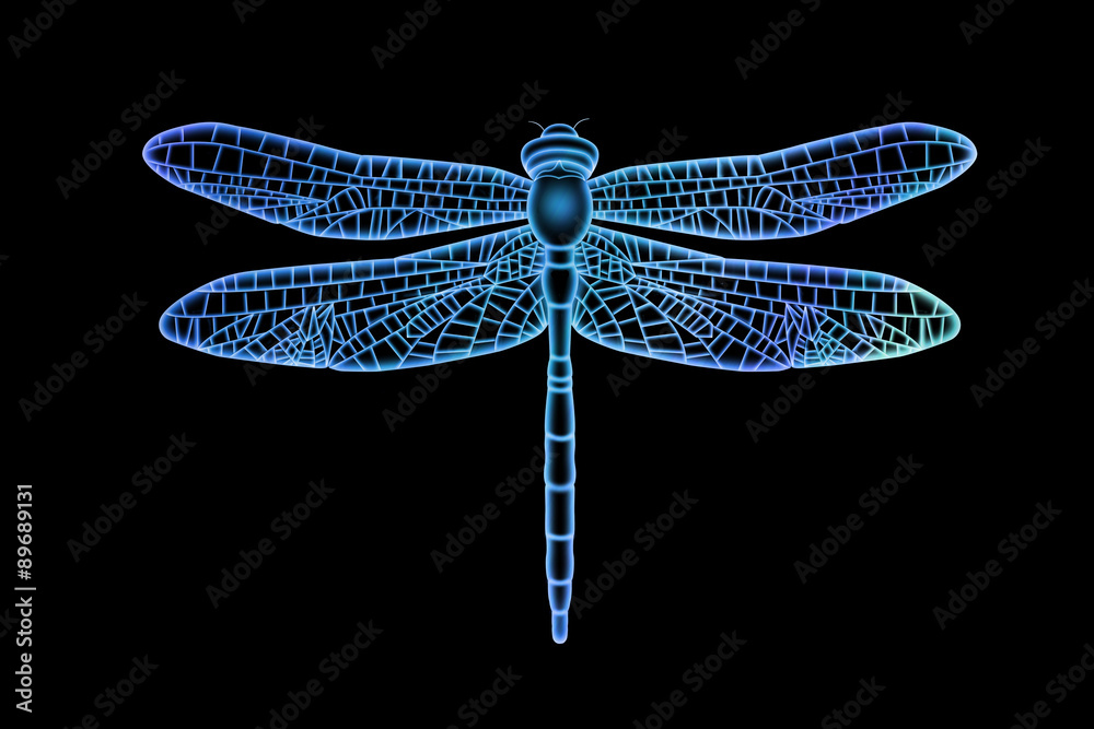 Translucent Blue Dragonfly Illustration Stock | Adobe Stock