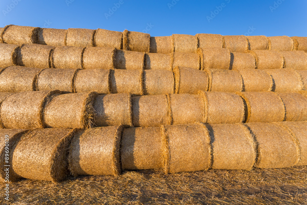 Piled hay bales on a field against blue sky