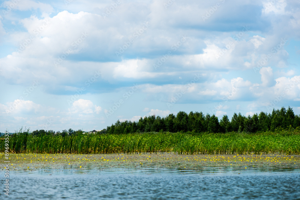 Blue Sky and White Clouds, Green Forest and Blue Waters of River Blue Sky and White Clouds, Green Forest and Blue Waters of River