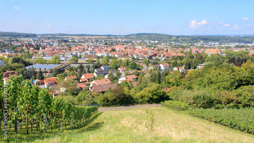 Blick auf Metzingen