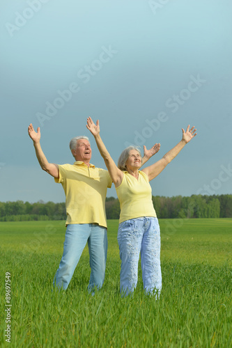 Senior couple in summer field