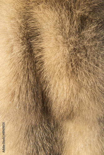 animal fur