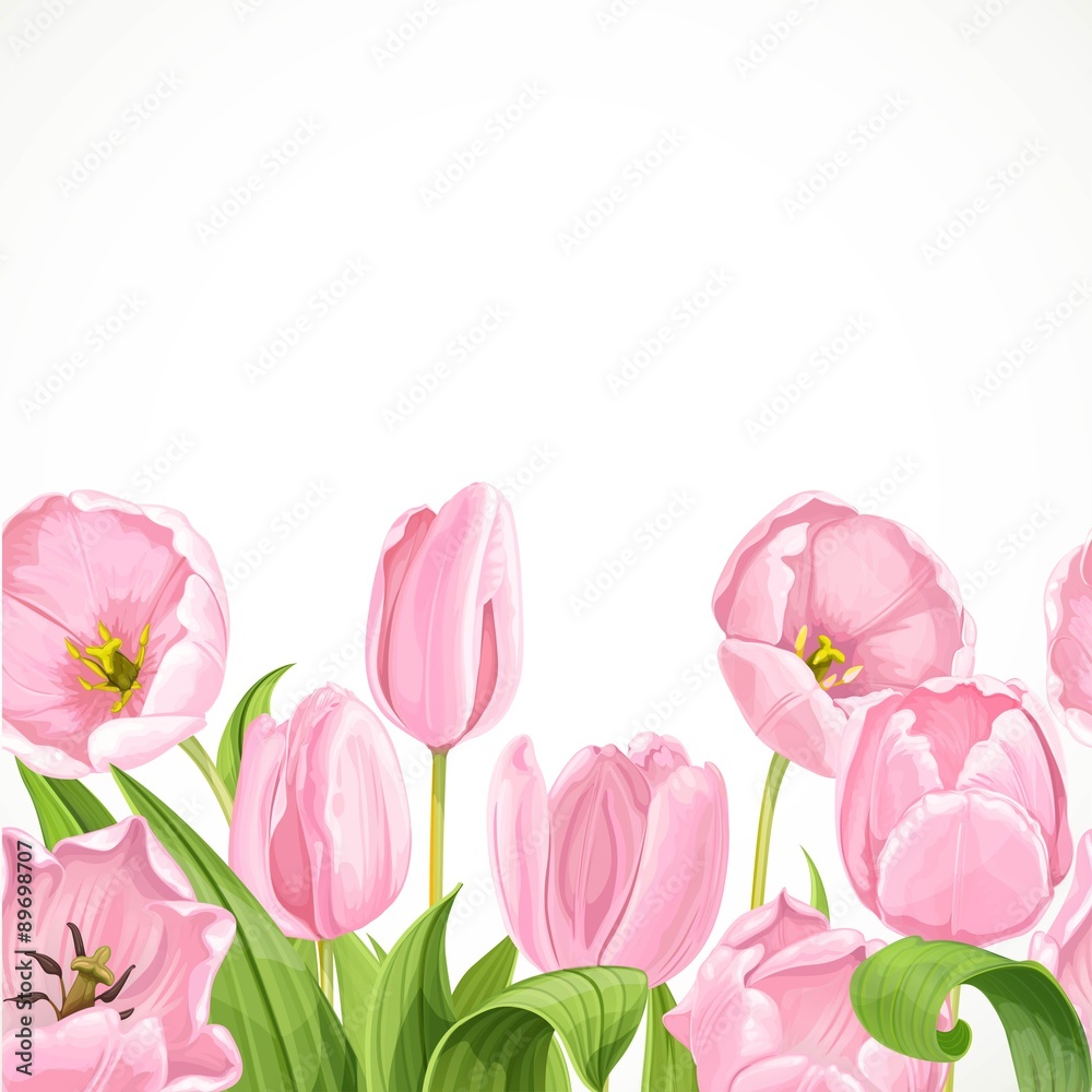 Vector pink flowers tulips seamless background