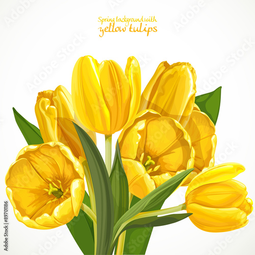 Fototapeta Naklejka Na Ścianę i Meble -  Spring background with yellow tulips