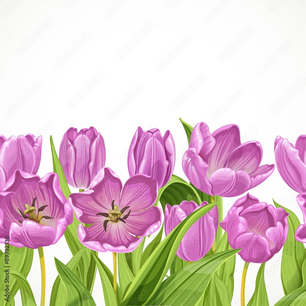 Purple tulips flowers seamless background