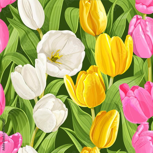 Seamless pattern of beautiful white, yellow and pink tulips on d