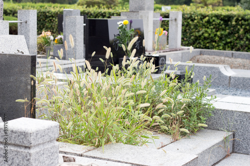 Weeds covered over Japanese neglected grave yard