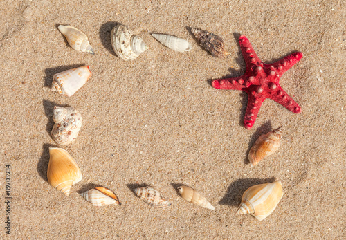 Starfish and sea shells with sand as background