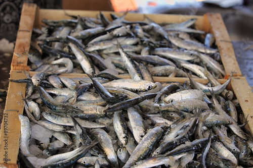 cagettes de sardines
cagettes de sardines - France.