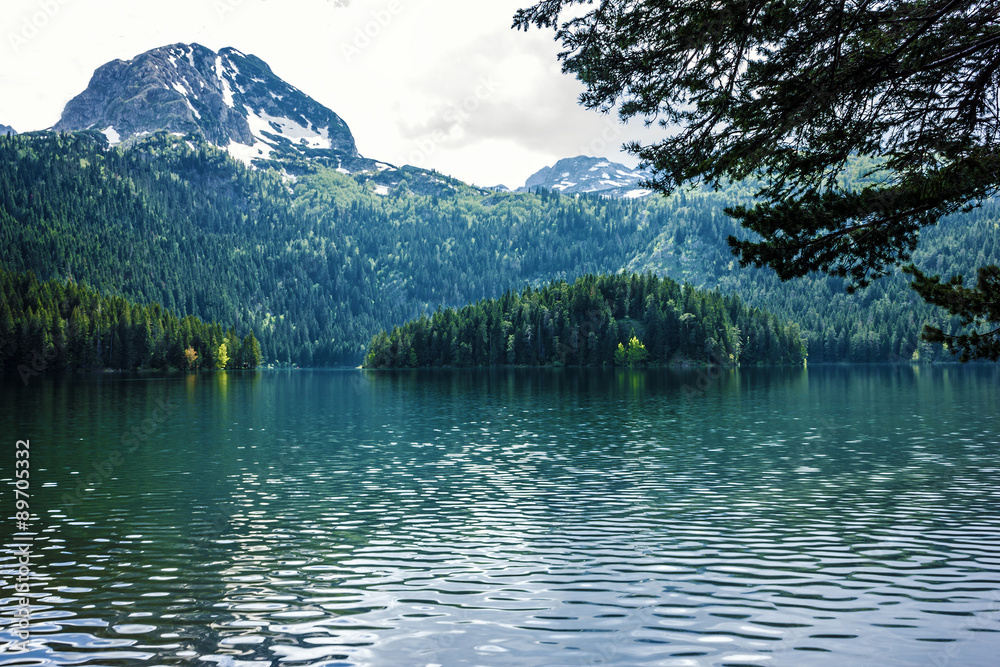 Mountain lake, evergreen coniferous forest, Durmitor, Montenegro