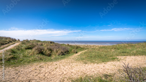 Dutch Dunes. Egmond  The Netherlands 