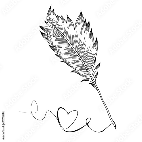 Doodle feather birds, vector illustration