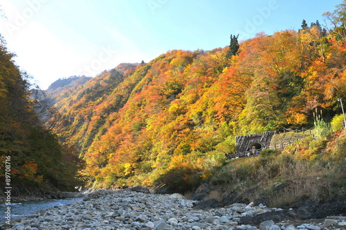 新潟県 上信越高原国立公園 清津峡渓谷の紅葉