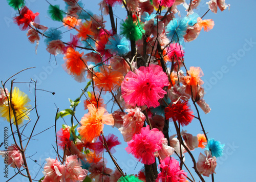 Fototapeta Naklejka Na Ścianę i Meble -  blossom flowers on tree