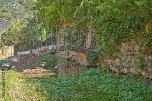 passerelle sur la rivi  re le Verdus