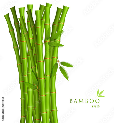 Fototapeta Naklejka Na Ścianę i Meble -  Background with green bamboo
