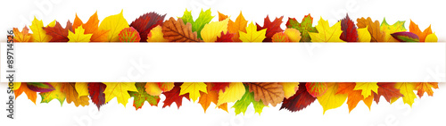 Colorful autumn leaves banner