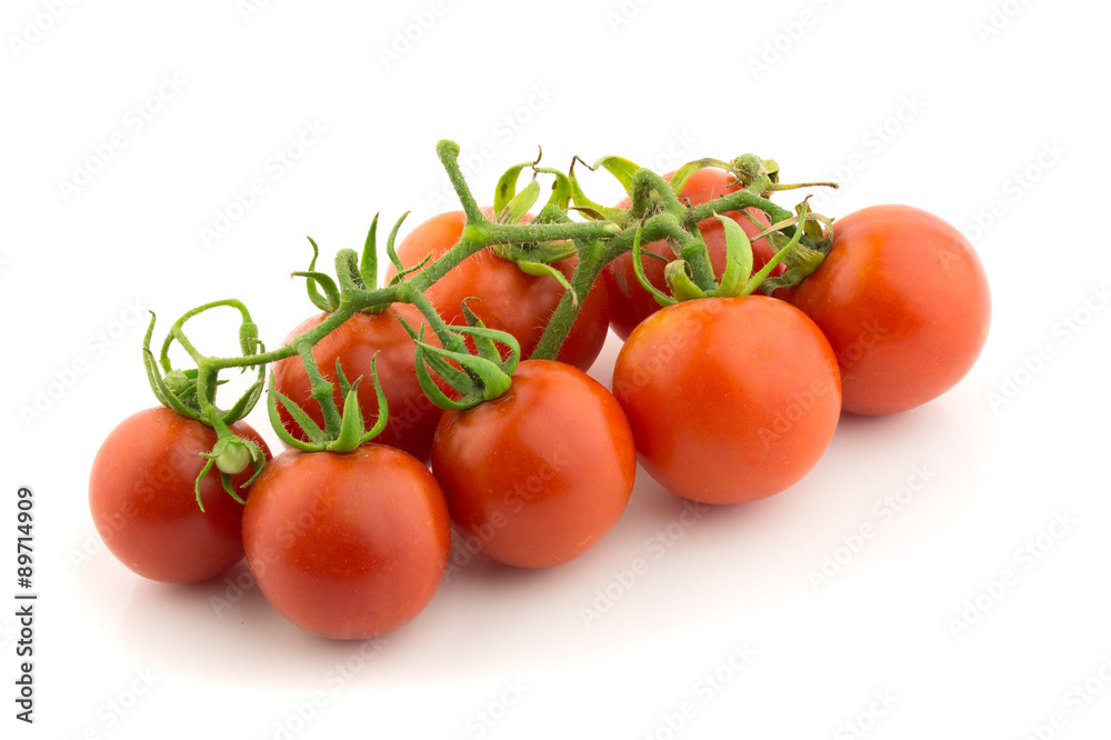Fresh tomatoes on branch 