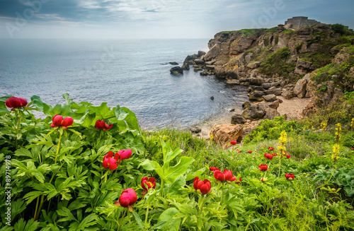 Wonderful seascape view with wild peonies on the beach in Yailata reserve, Bulgaria
