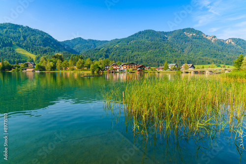 Green grass in water on shore of Weissensee alpine lake in summer landscape, Austria