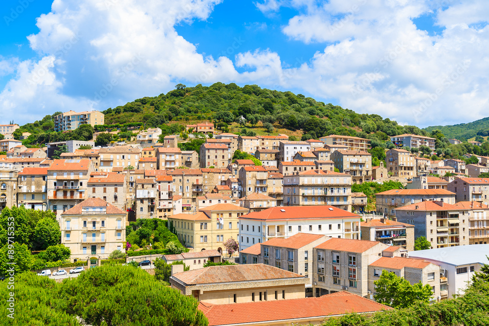 View of Sartene village with stone houses built in traditional Corsican style on top of a green hill, France